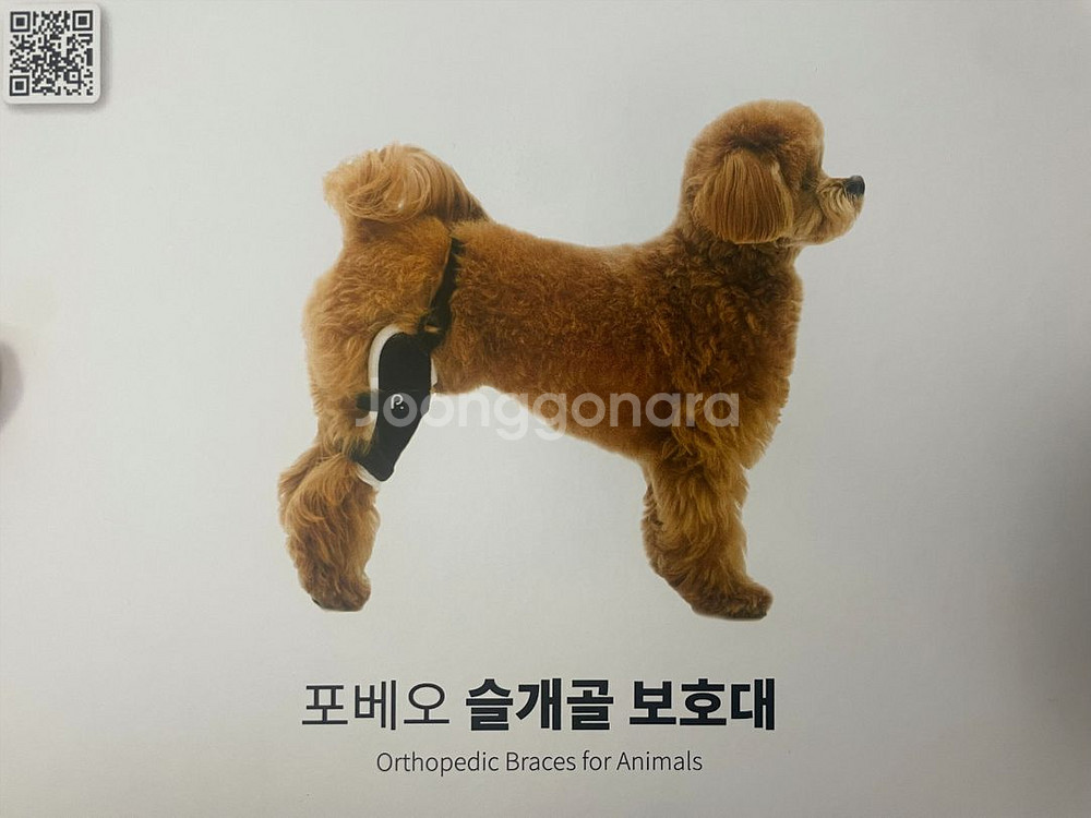 포베오 슬개골 보호대 2단계 XS--0
