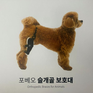 포베오 슬개골 보호대 2단계 XS