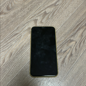 아이폰xr