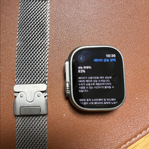 애플워치 울트라