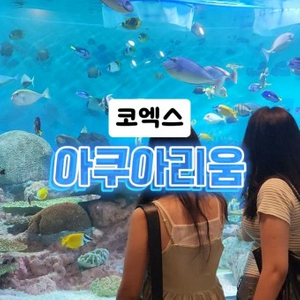 코엑스 아쿠아리움 모바일 티켓 5월 말까지 최저가