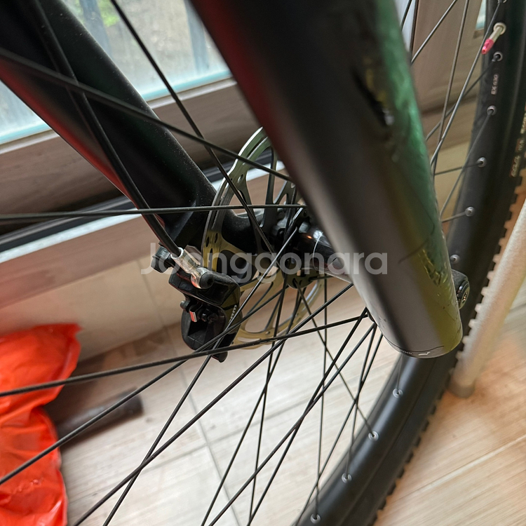 2020 라피에르 제스티 AM 5.0 FIT 판매합니다--3