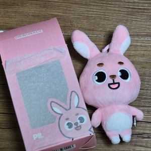 데이식스 데니멀즈 2022 필 필끼