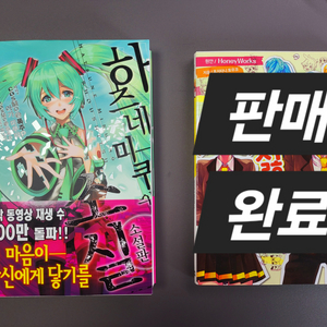 급처 보컬로이드 라노벨 하츠네 미쿠의 소실