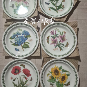 포트메리온 보타닉가든 중접시R형6p