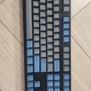 레오폴드 FC900RBT 키보드(적축)