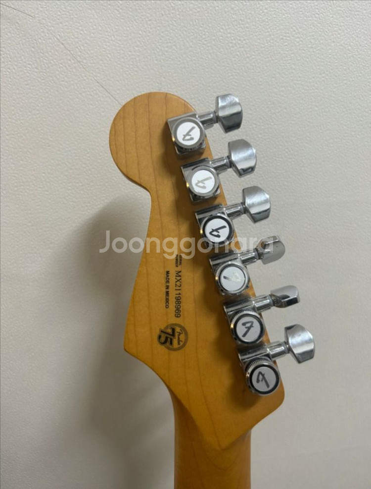 Fender Player Plus HSS 일렉기타--4