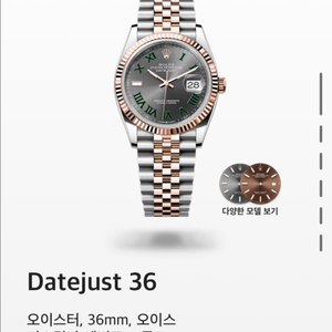 롤렉스 윔블던 18k베젤 로즈골드 콤비 36mm