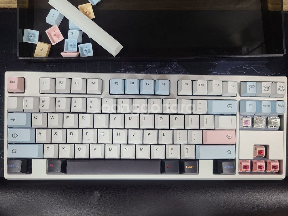 Frog tkl 키보드(실버)--8
