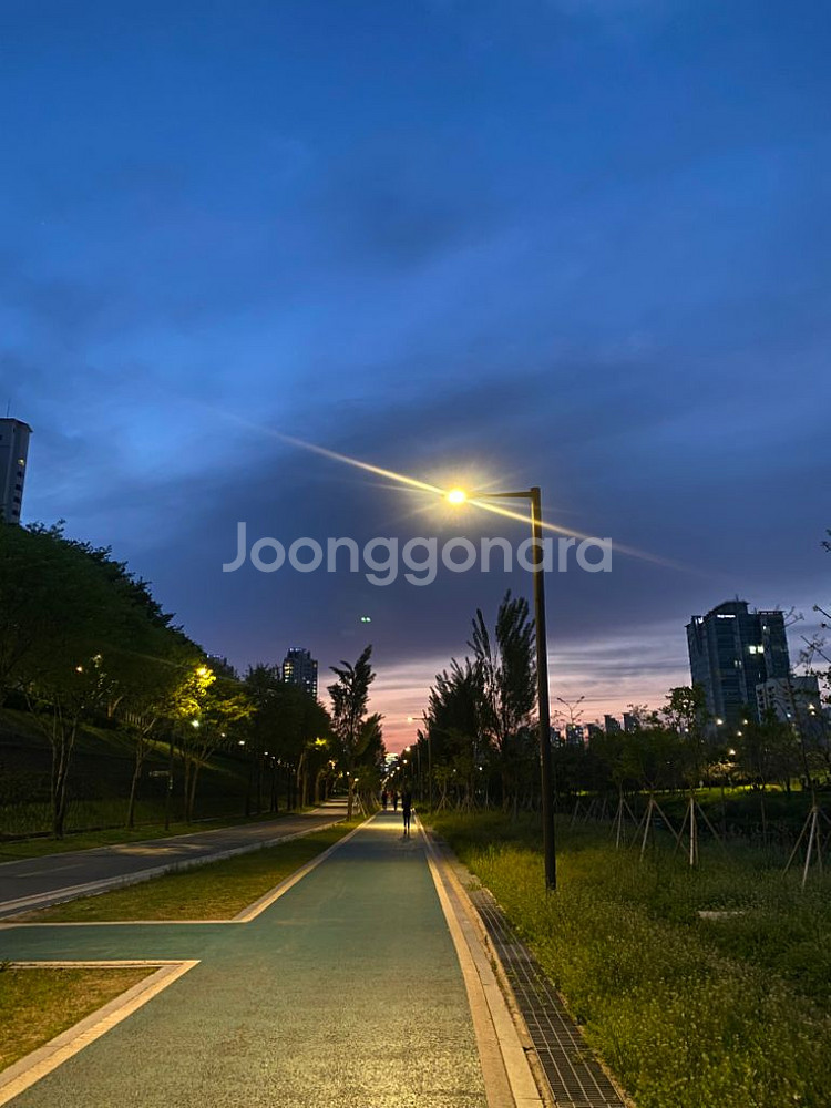 밀리의서재 1년권--0