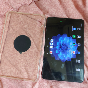 iplay60minipro