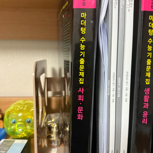 마더텅 사문 2026