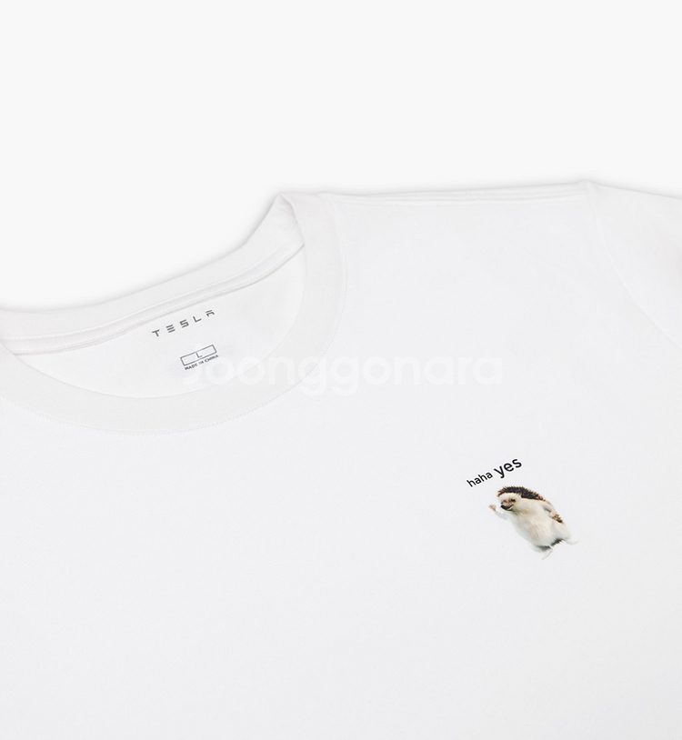 테슬라 공식 굿즈 고슴도치 티셔츠 M/L/XL--1