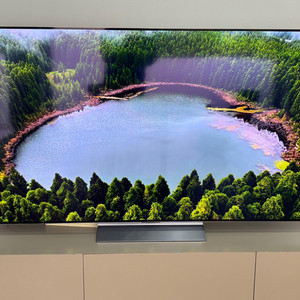 LG 65인치 올레드TV OLED65C3