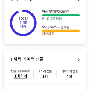 sk 데이터 2기가