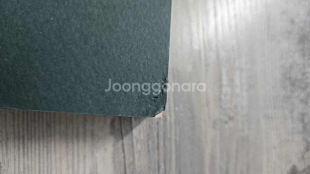 나는 메트로폴리탄 미술관의 경비원입니다--1