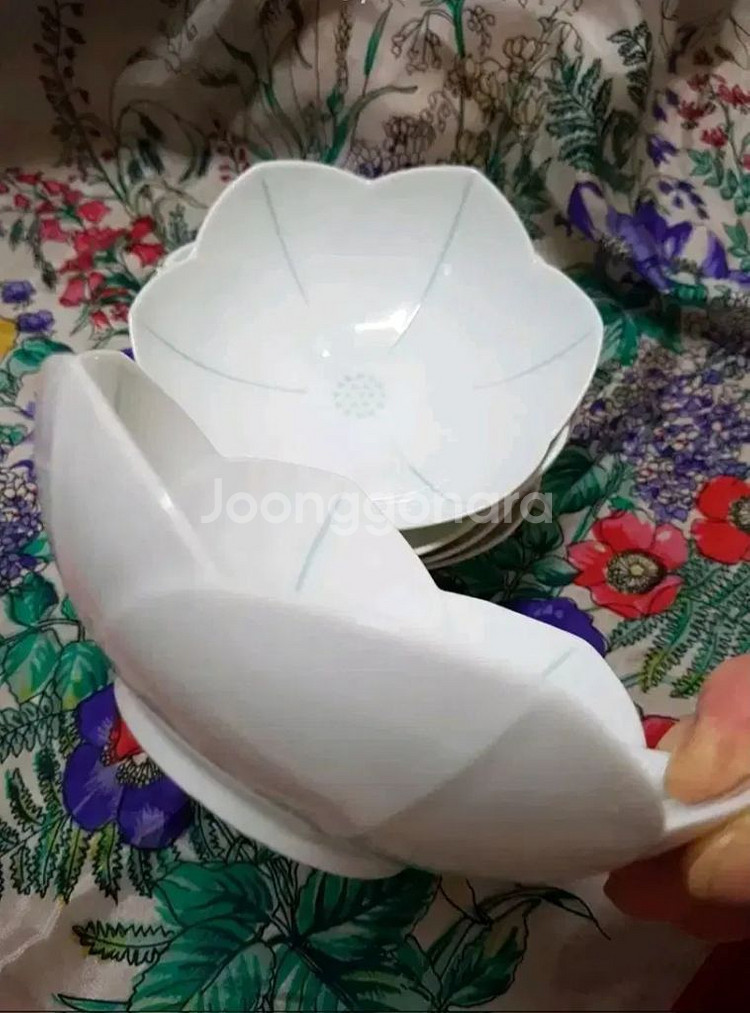 연꽃문 소접시 미사용 개당가 일본--0