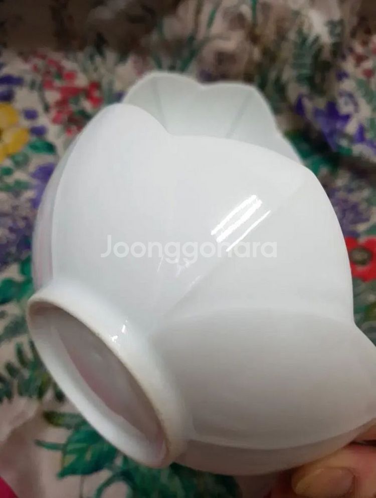 연꽃문 소접시 미사용 개당가 일본--3