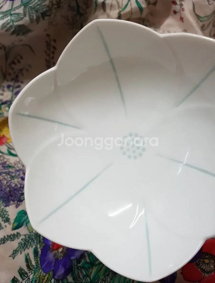 연꽃문 소접시 미사용 개당가 일본--6