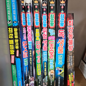 최강왕배틀