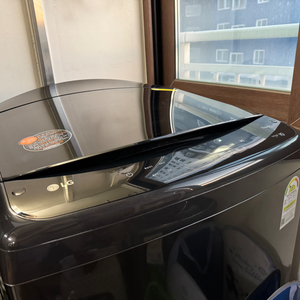 LG 통돌이 세탁기 최대 용량 25kg