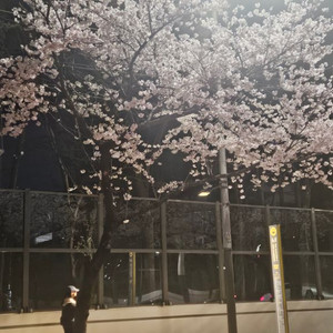 5232님직거래