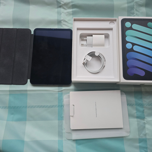 아이패드미니6 256GB 셀룰러