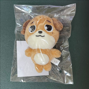 데이식스 포에버영 일본콘 백참 돈 도운