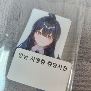 스타데이즈 반님 사원증 증명사진