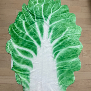 양배추 담요