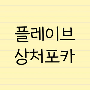 플레이브 상처포카 md