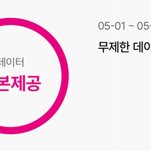 LG 유플러스 데이터 1기가 (최대 2기가)