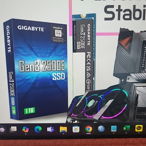 기가바이트 Gen3 2500E 1TB SSD