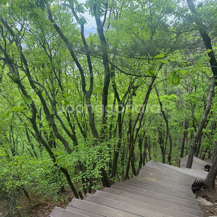 SKT 데이터 2기가--0