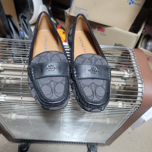 코치 드라이빙슈즈 225