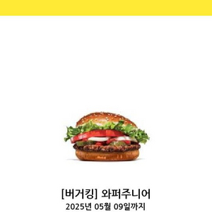 버거킹 와퍼 주니어 급처분