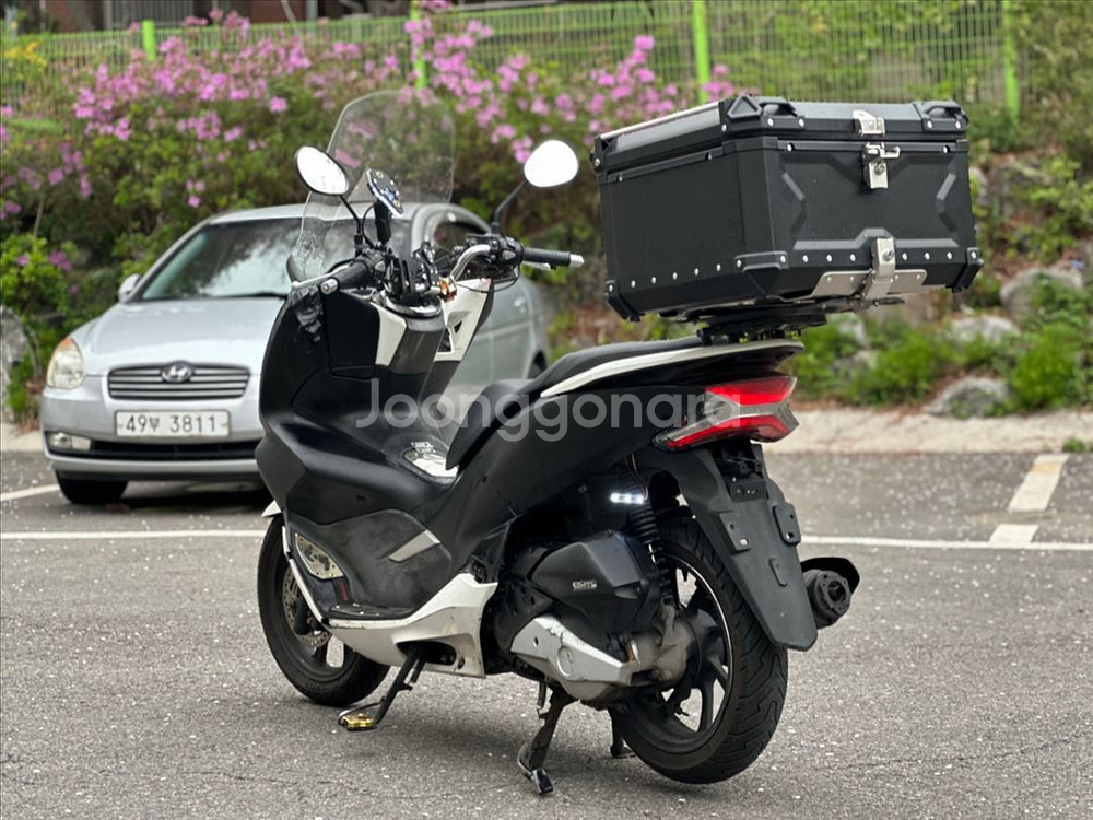 혼다 PCX125/2020년식/깔끔한컨디션/짧은키로수--2