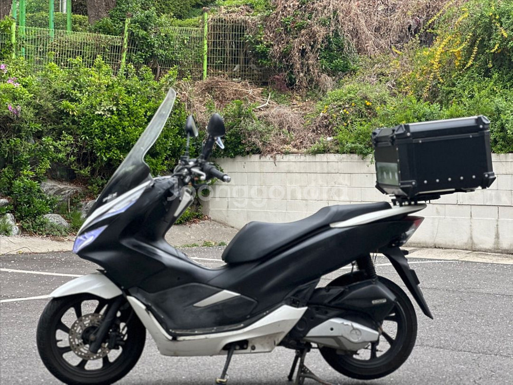 혼다 PCX125/2020년식/깔끔한컨디션/짧은키로수--1
