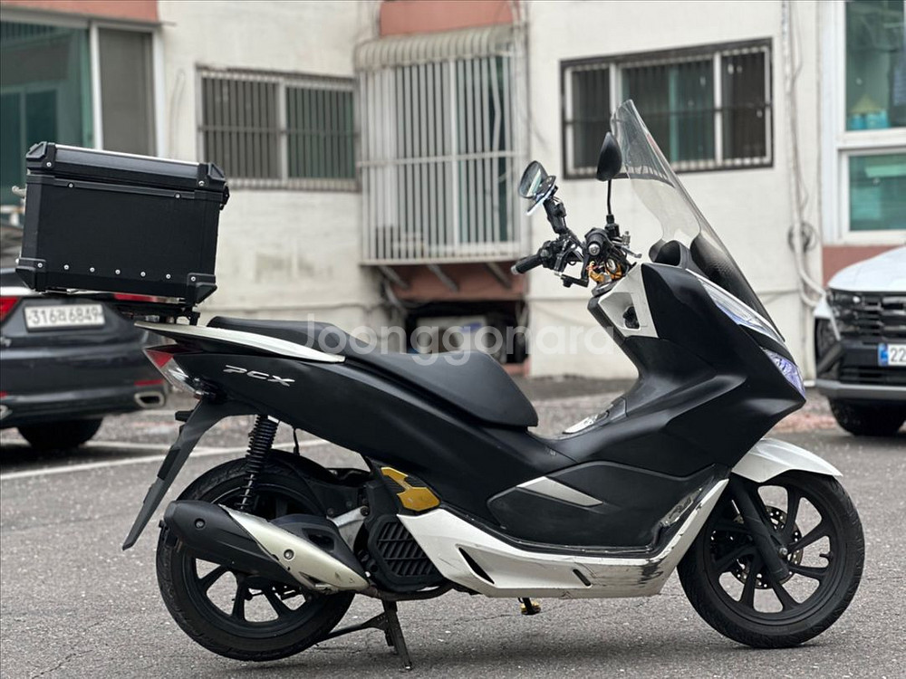 혼다 PCX125/2020년식/깔끔한컨디션/짧은키로수--5