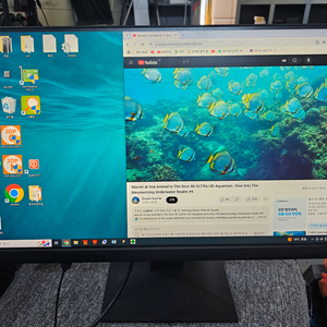 모니터<816>msi 25인치240hz 게이밍모니터