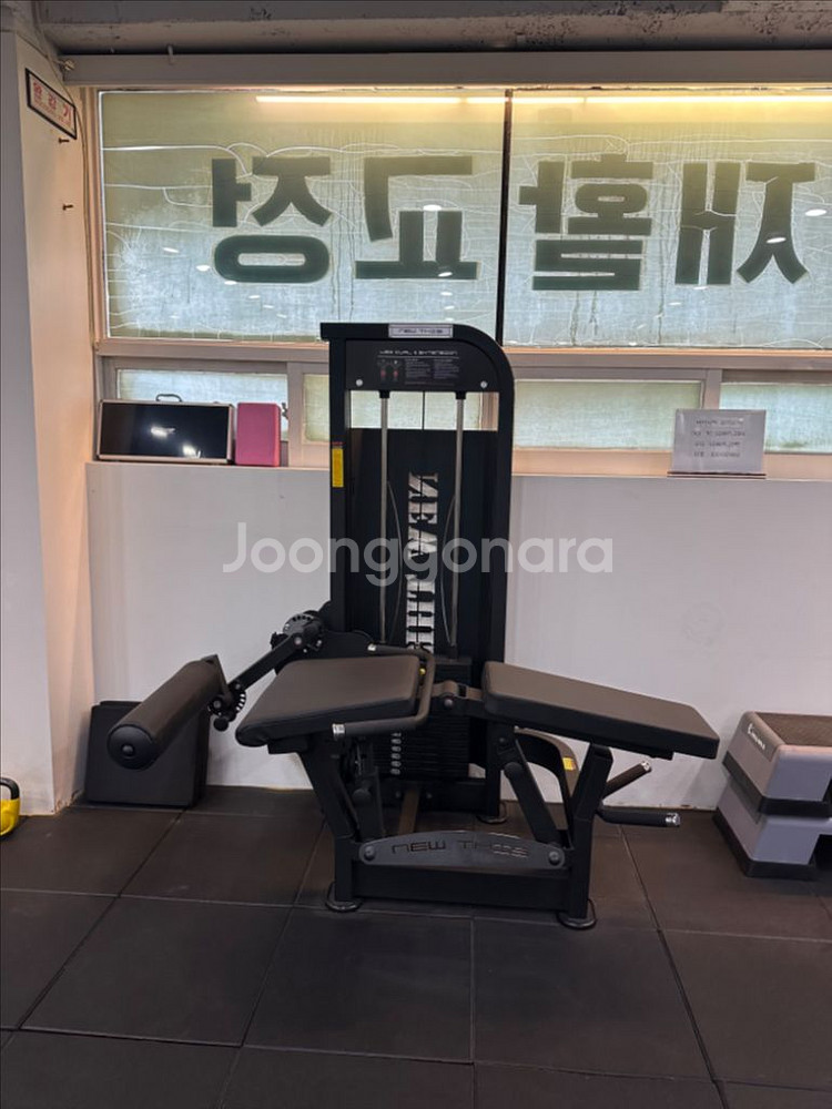 레그컬&익스텐션--1