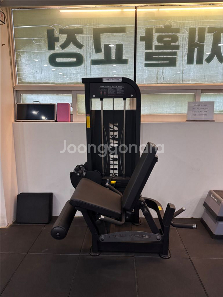 레그컬&익스텐션--0