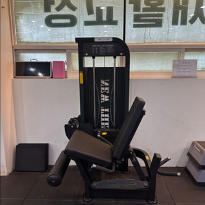레그컬&익스텐션