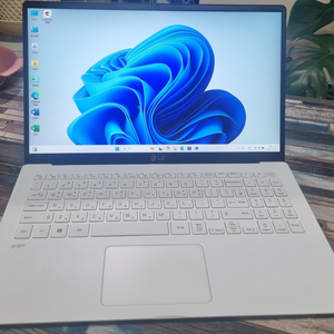LG 그램15Z90N-VP70ML i7