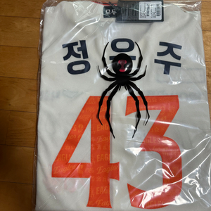 한화이글스 40주년 유니폼 어센틱 정우주