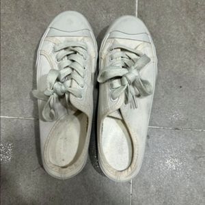각 만원 230