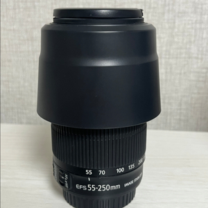 캐논 55-250 stm