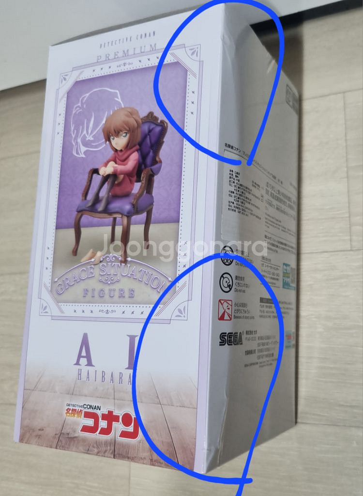세가 그레이스 시츄에이션 코난 하이바라 아이 피규어--2