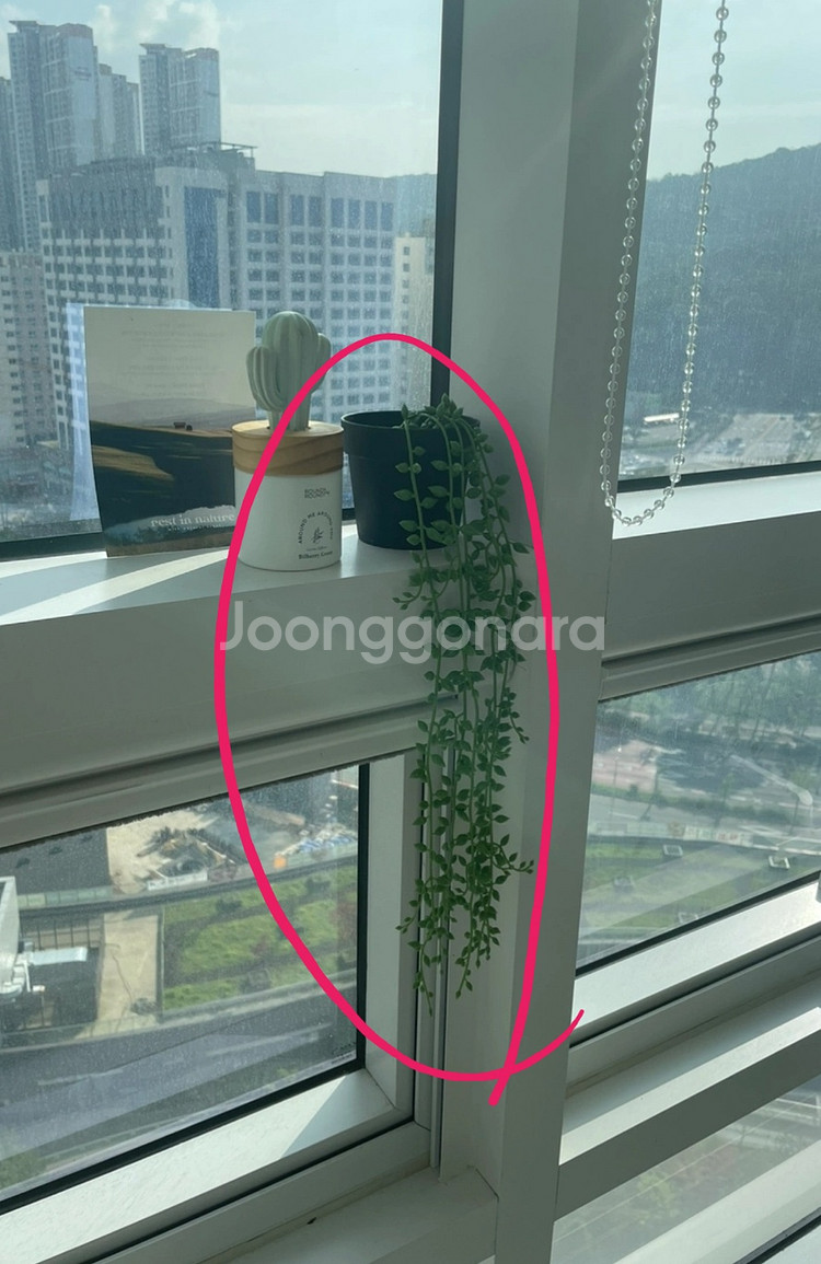 [새상품] 식물 실내 인테리어 조화 화분 8종--0