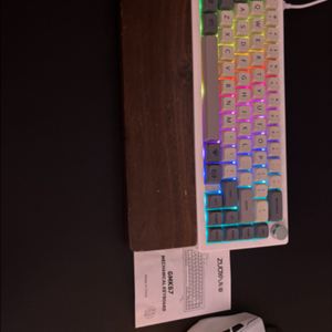 GMK67 키보드세트 + ROCCAT 마우스